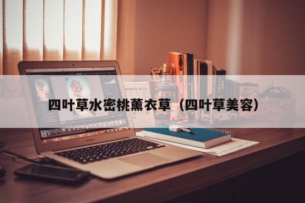 四叶草水密桃薰衣草（四叶草美容）