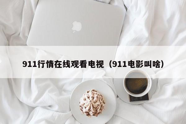 911行情在线观看电视（911电影叫啥）