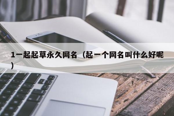 1一起起草永久网名（起一个网名叫什么好呢）