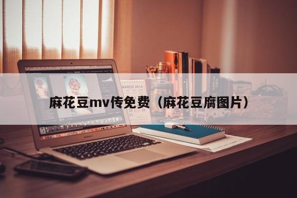 麻花豆mv传免费（麻花豆腐图片）